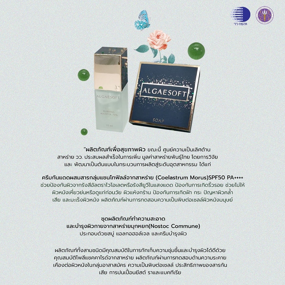 298667605 454872526682406 2773305425556933097 n