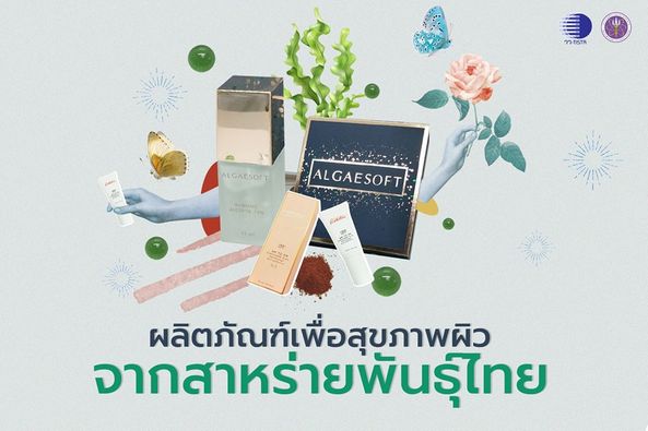 298690525 454872386682420 1441549660021822037 n