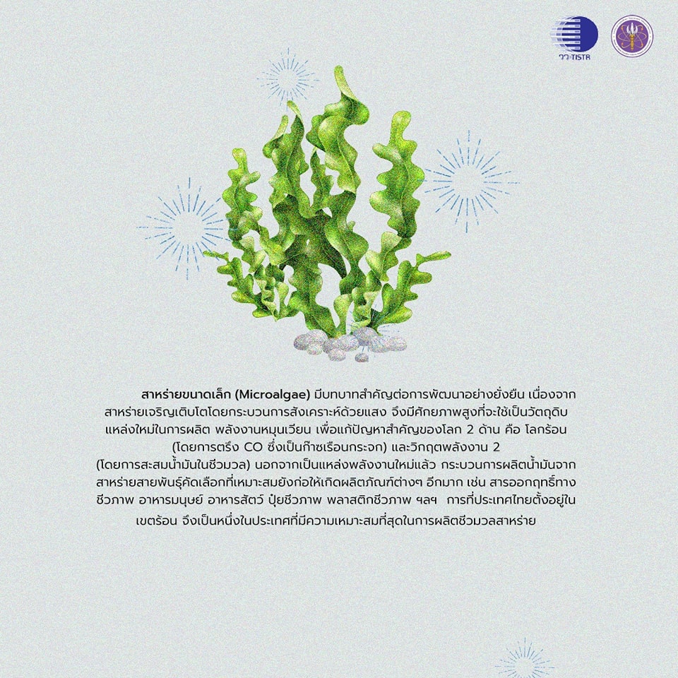 298823687 454872426682416 8989278726054209162 n