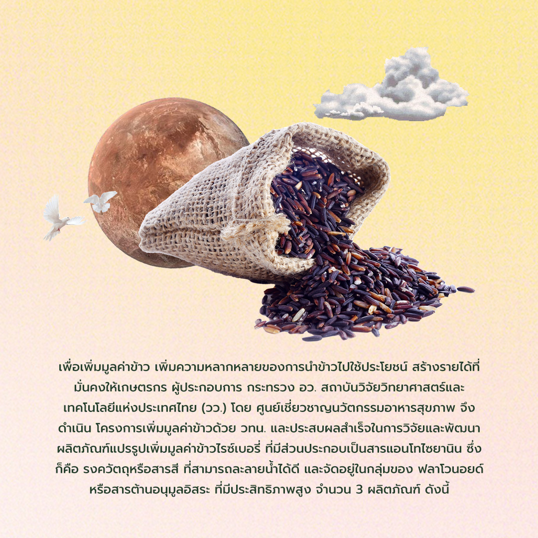 299797180 459146459588346 7259277124851580960 n