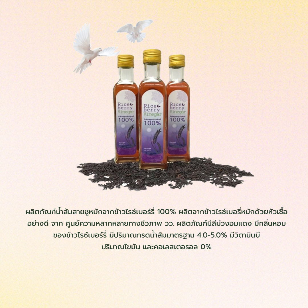 300097878 459146442921681 4035217982338829783 n