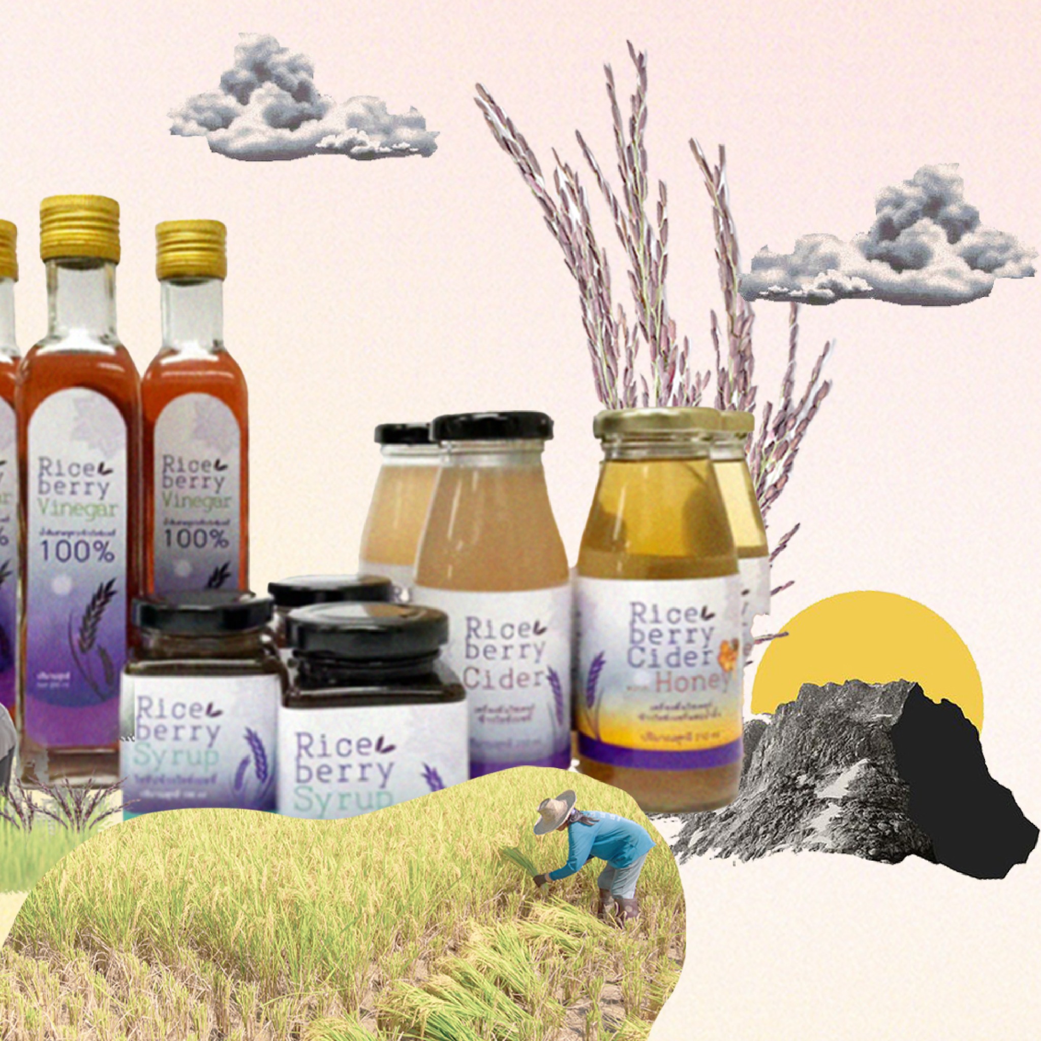 300213204 459146292921696 2465963233495314754 n