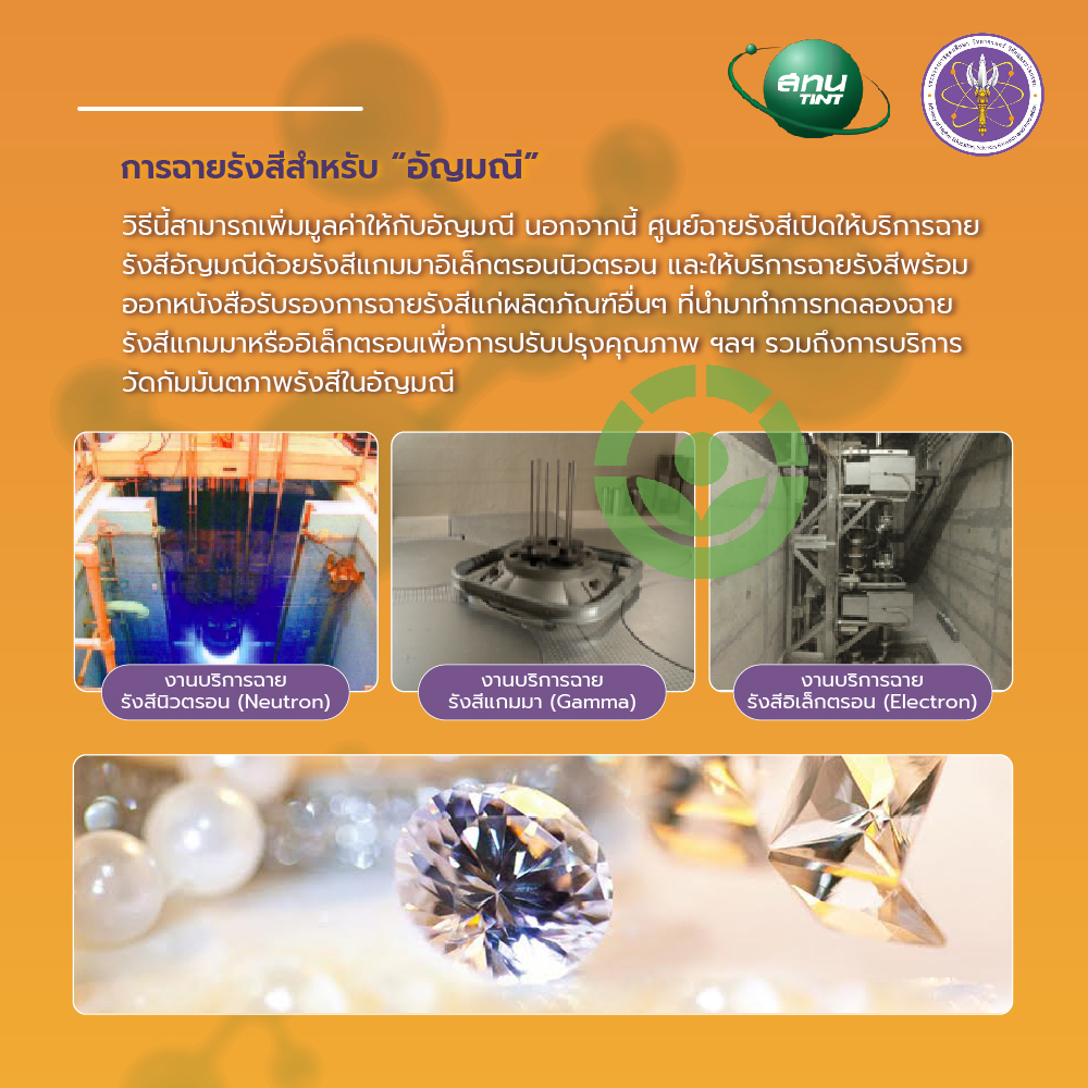 300377459 463344322501893 2746746760980380193 n