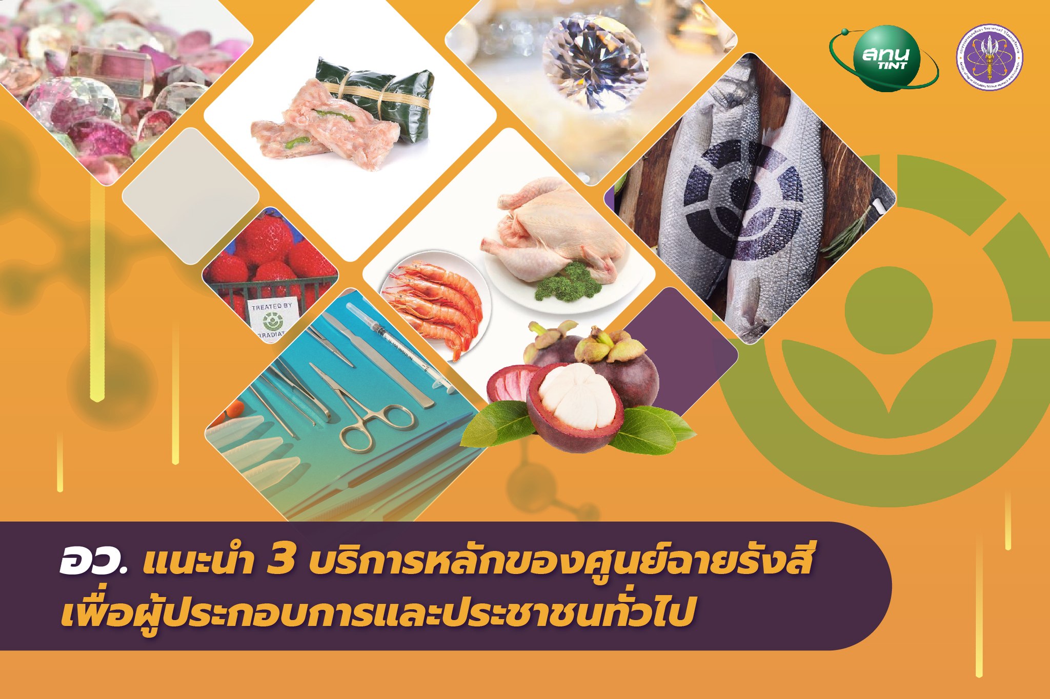 300775285 463344375835221 8723330513432450706 n