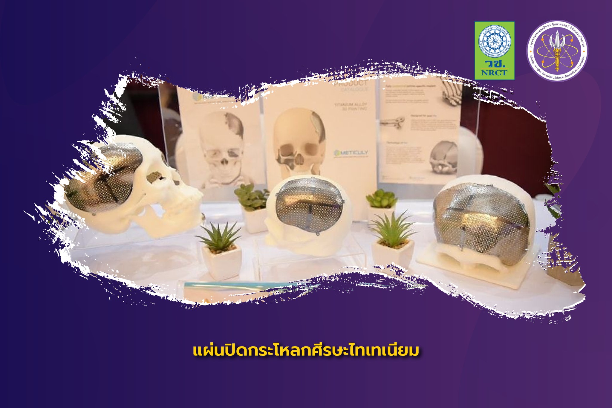 301210263 463836765785982 3966423029921224899 n