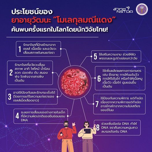 301451942 463869635782695 3386299258826374330 n