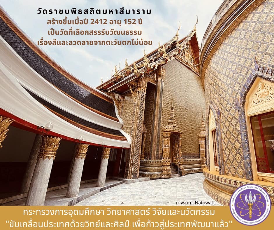 271132351 5352546564772380 3887865541392149400 n