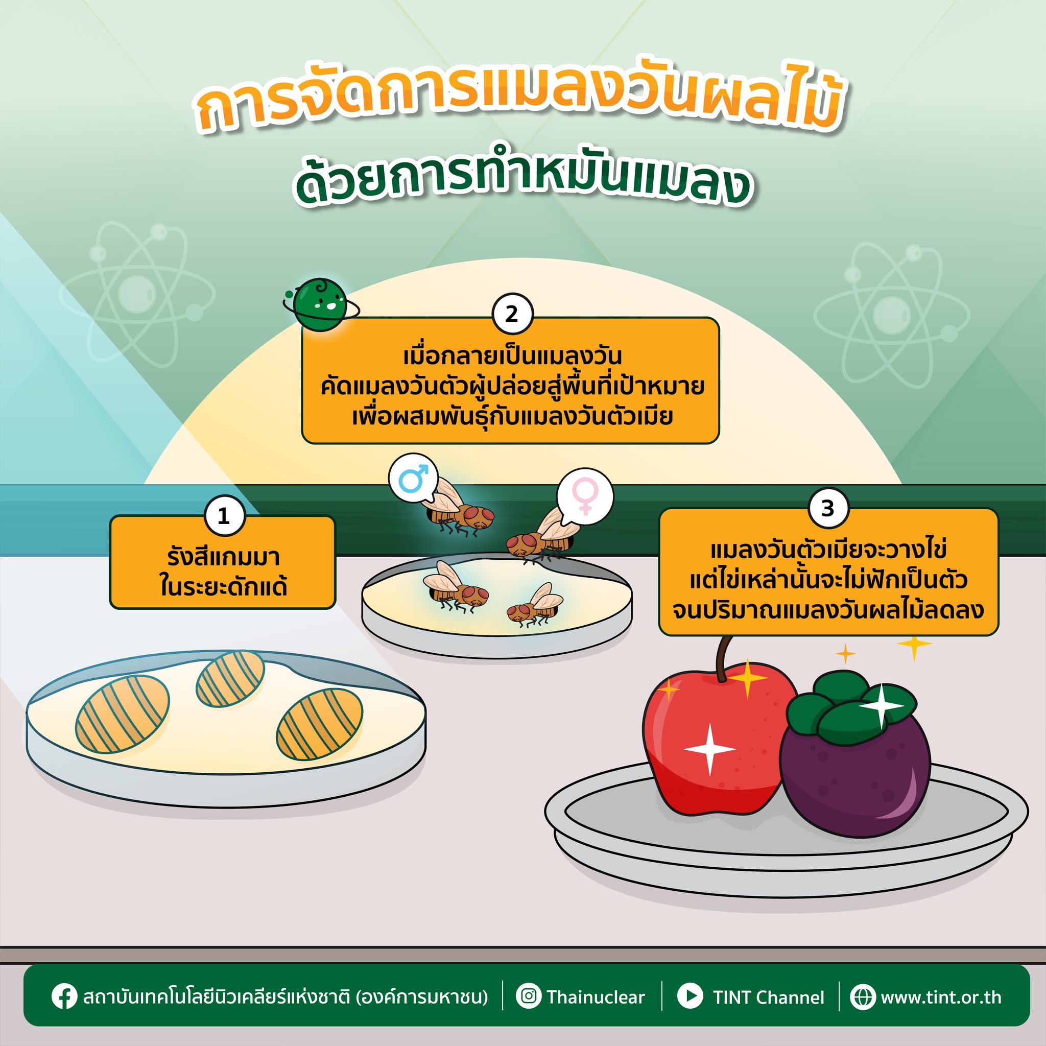 273950598 314432777381785 1729512244418627576 n