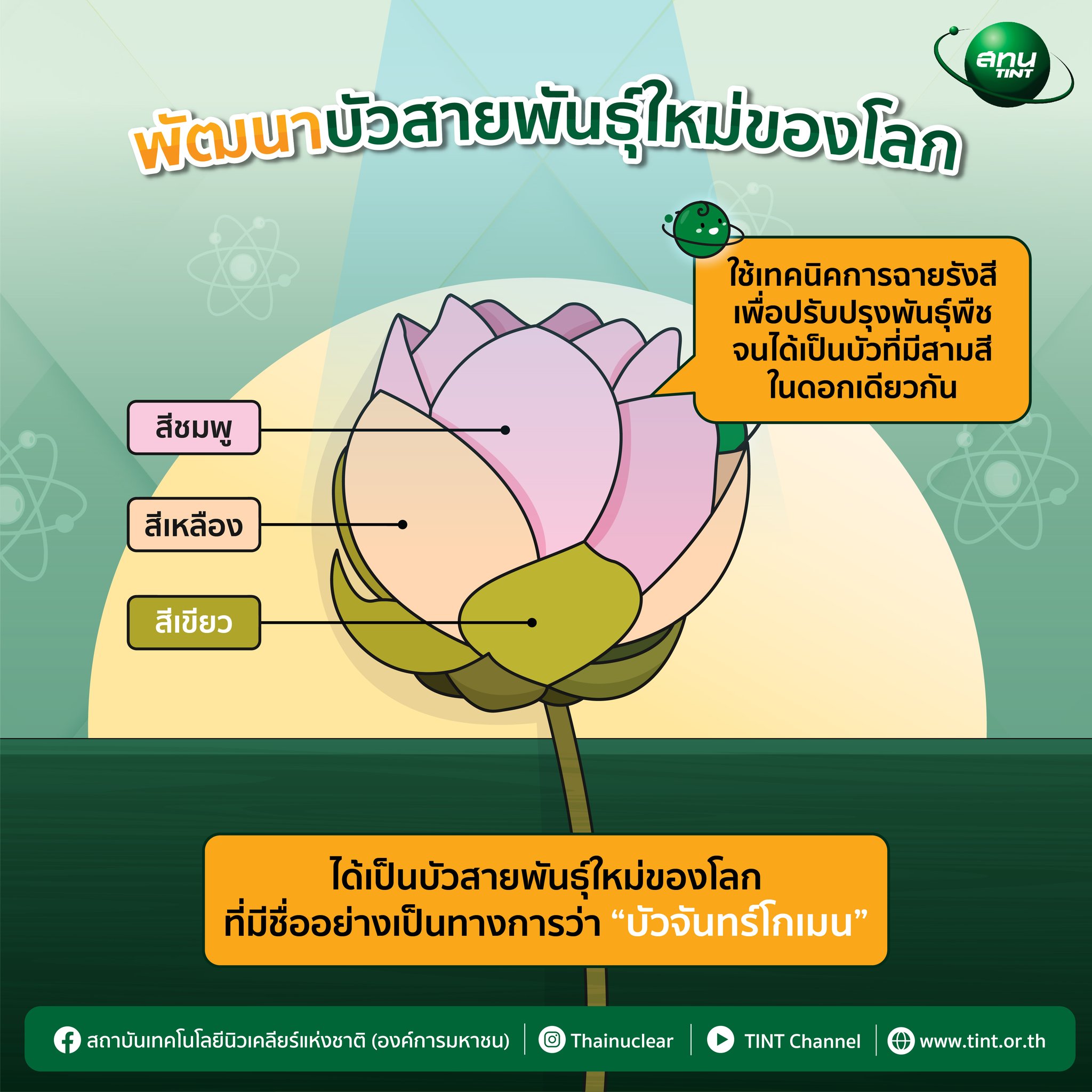 274002848 314432590715137 4490209848314383492 n