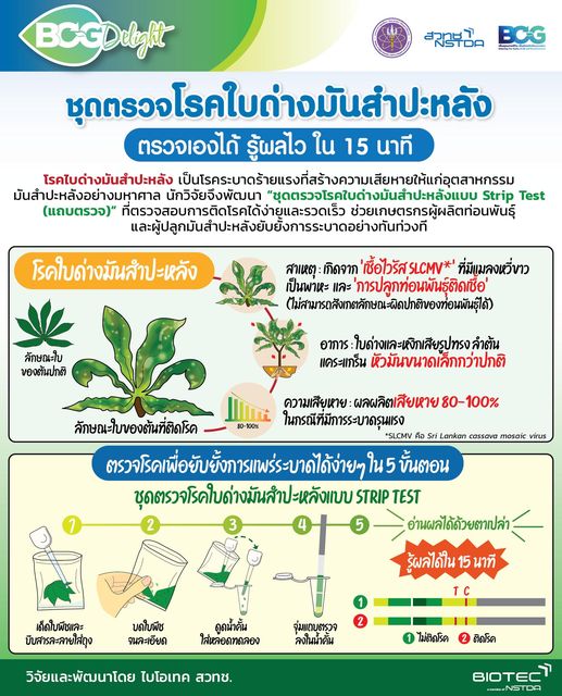 286538049 386309423538434 5243868605200957684 n