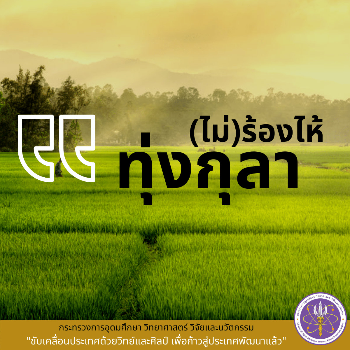 275844412 345890814247245 3365961671481135468 n