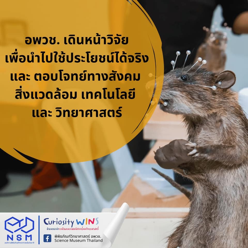 307441607 483114207191571 2070311686207317617 n