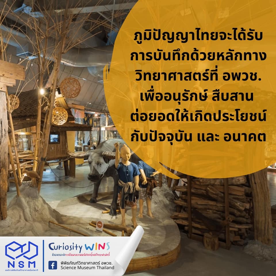 307486466 483114170524908 3291194013015214951 n