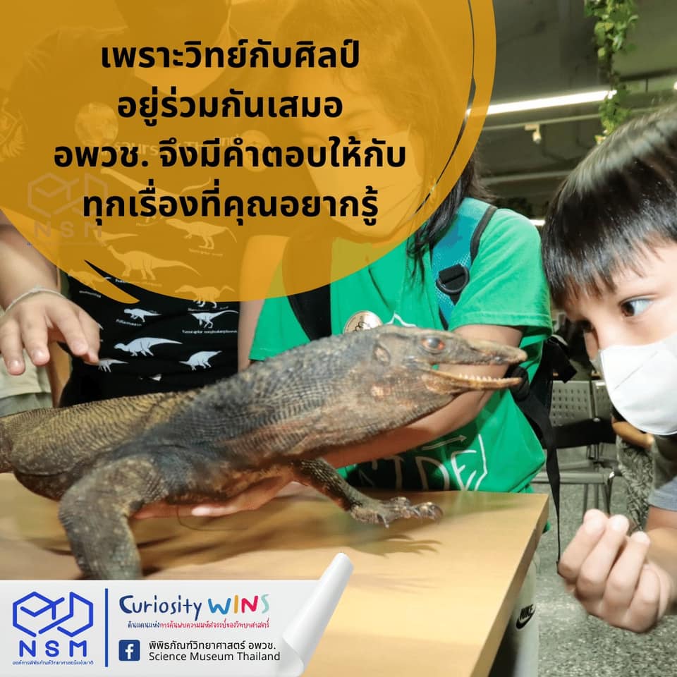 307776900 483114110524914 1040407497865081314 n