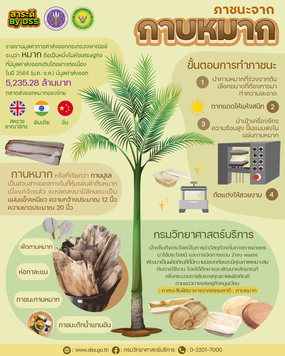 308210822 456801999808792 8782585401676474864 n