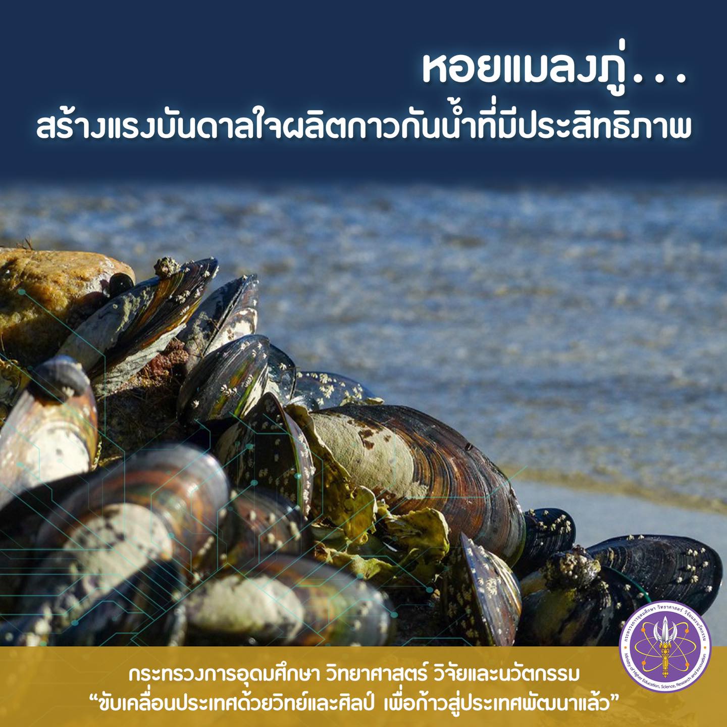 309610233 490770966425895 1007873781834108391 n