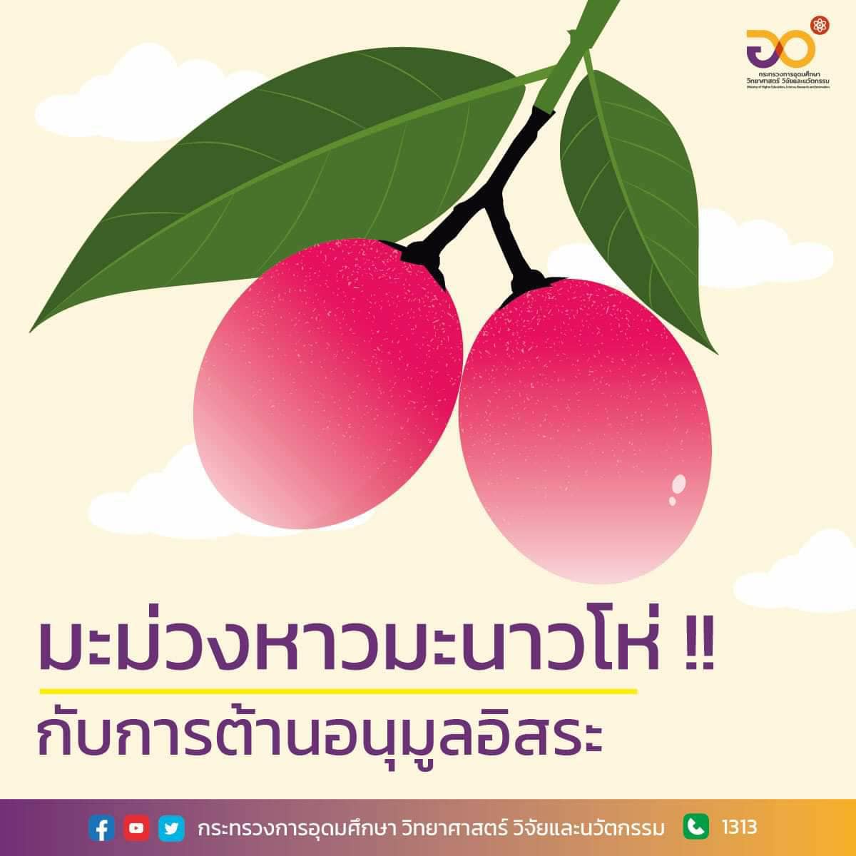 271592518 5387529461274090 707350676840173563 n