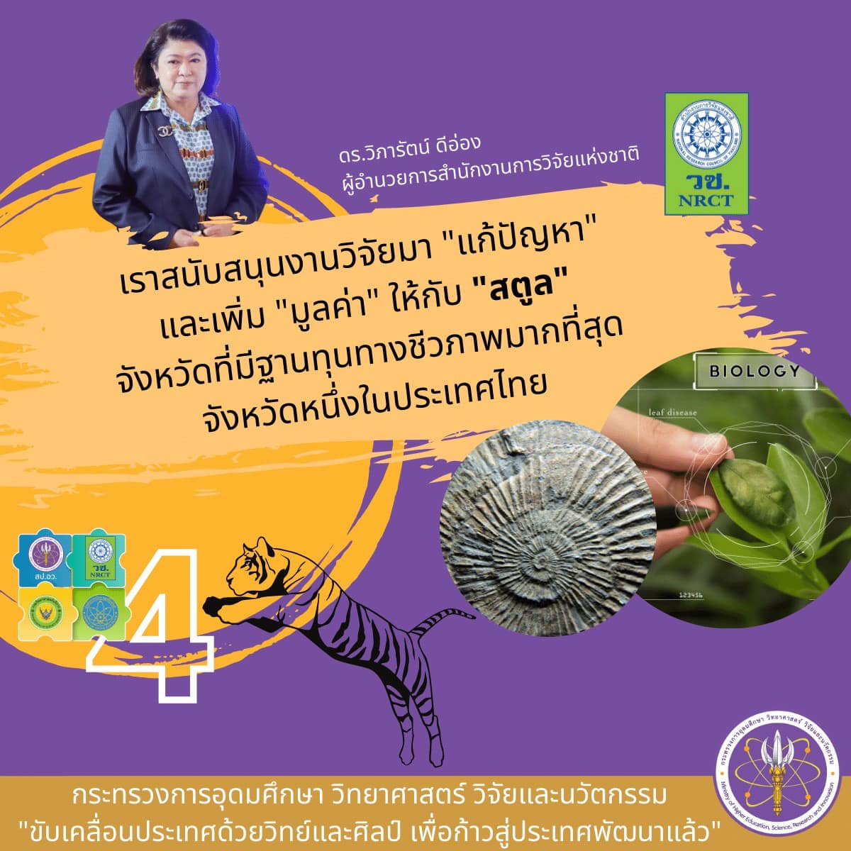 271976386 5418466128180423 424854966096279237 n