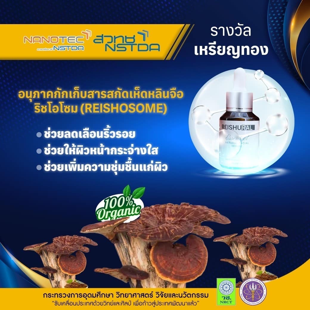 317086376 543195947850063 4764194276249765443 n