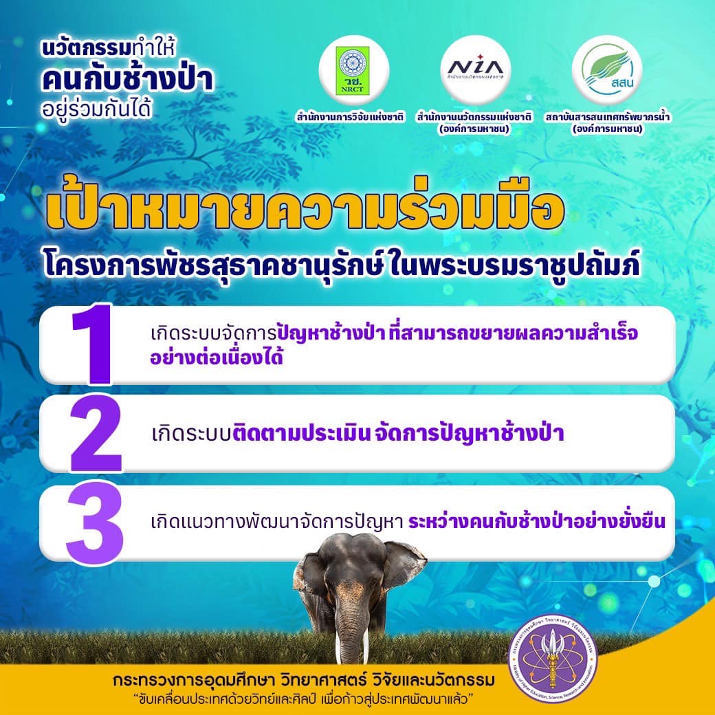 318697065 425108263042150 8679875338050879010 n