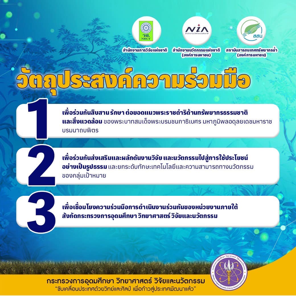 318850458 1236459413954038 7802567434907641923 n