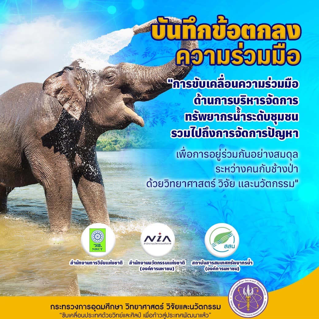 319160369 1288734131982276 7051809223021537843 n