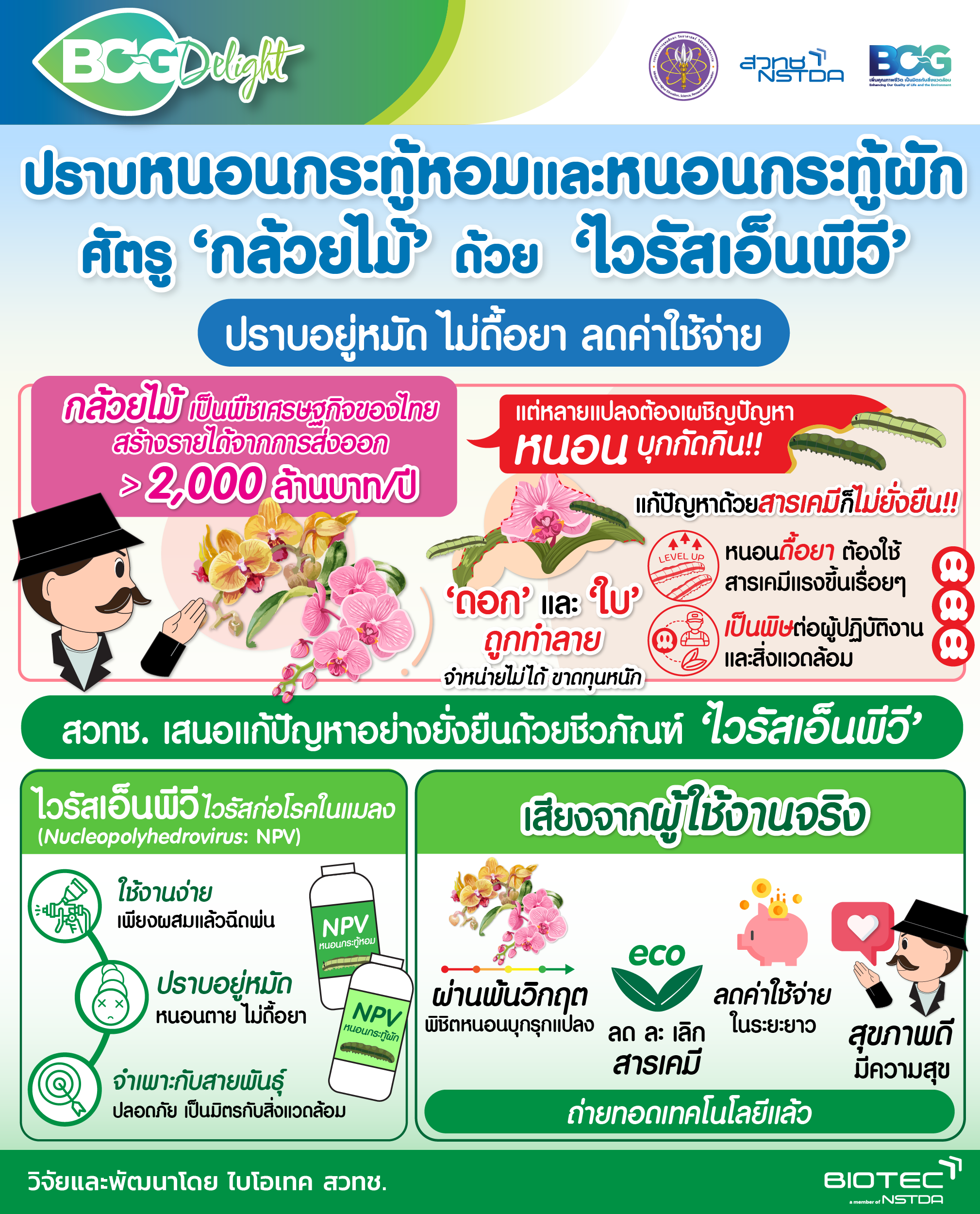 7 BCG Delight NPV Orchid