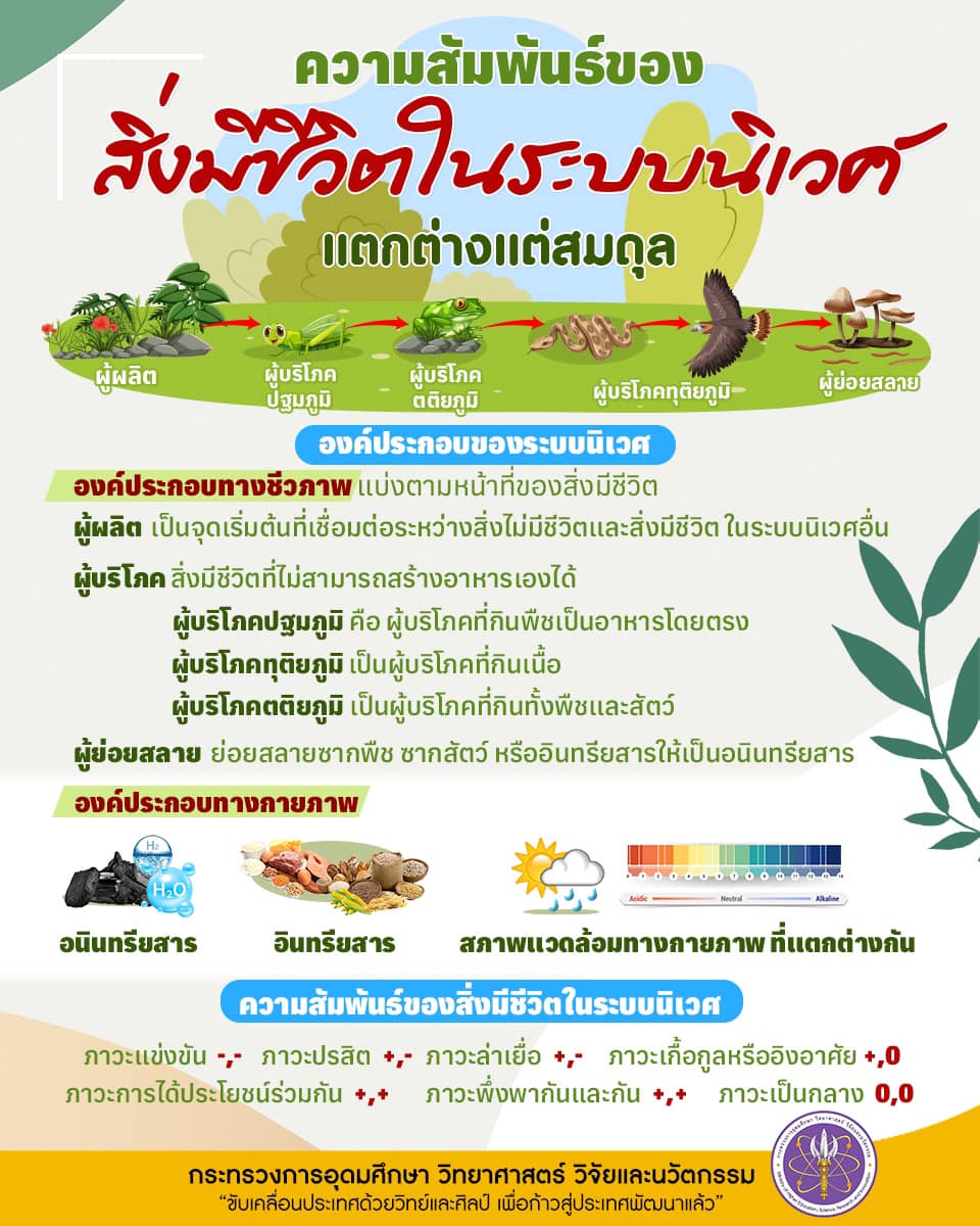 323403522 658894655917054 7129947492272300260 n