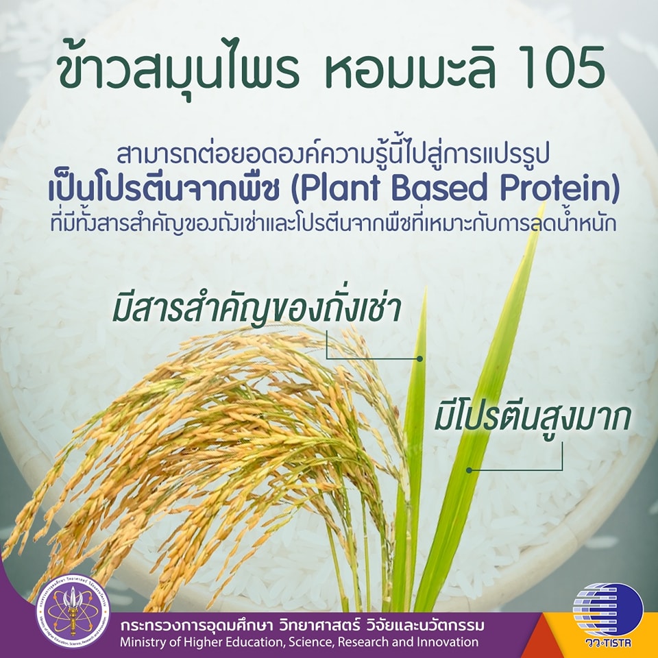 335828102 930016894866164 9046204920862617634 n