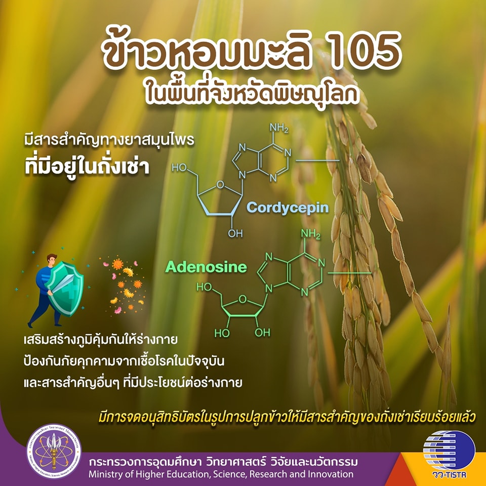 335847645 202364819075125 2883524094887181951 n