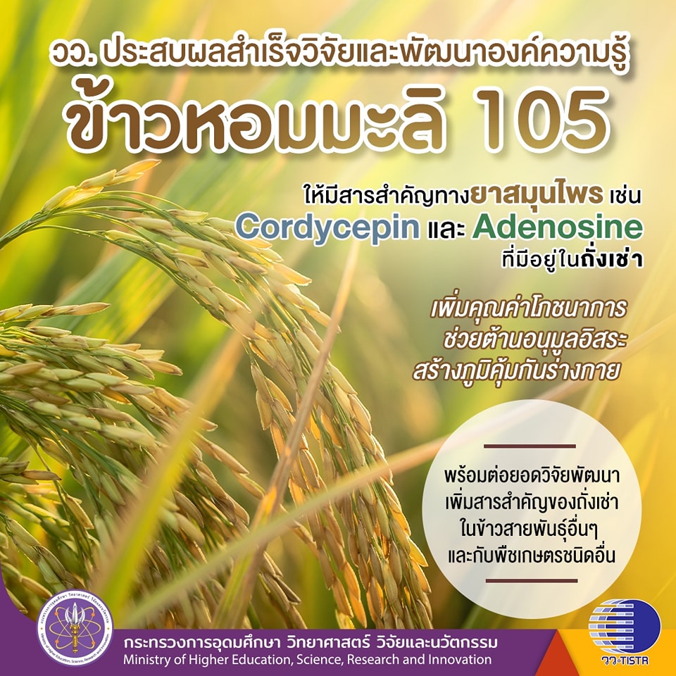 335929740 201734842460582 2115009114006837314 n