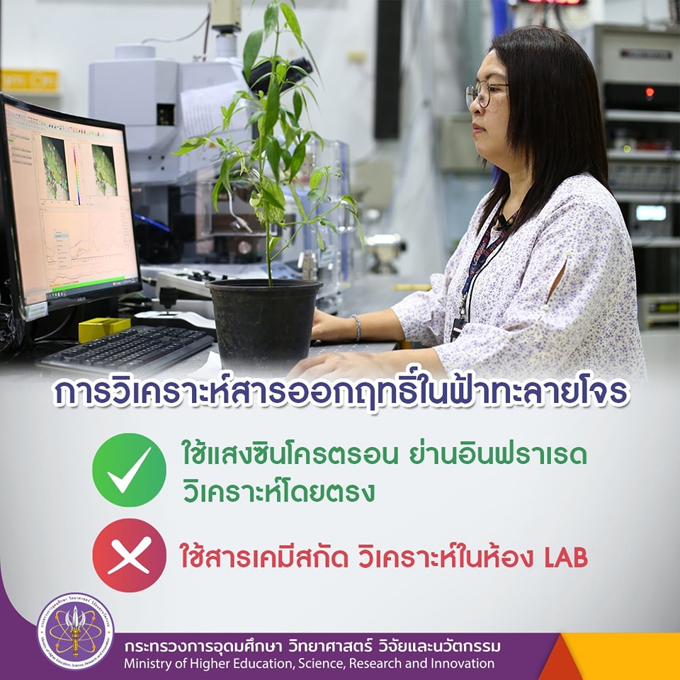 335456333 588068236717588 4952614652313291708 n