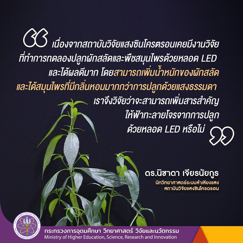 336154133 1386961078730255 2909540018544632033 n