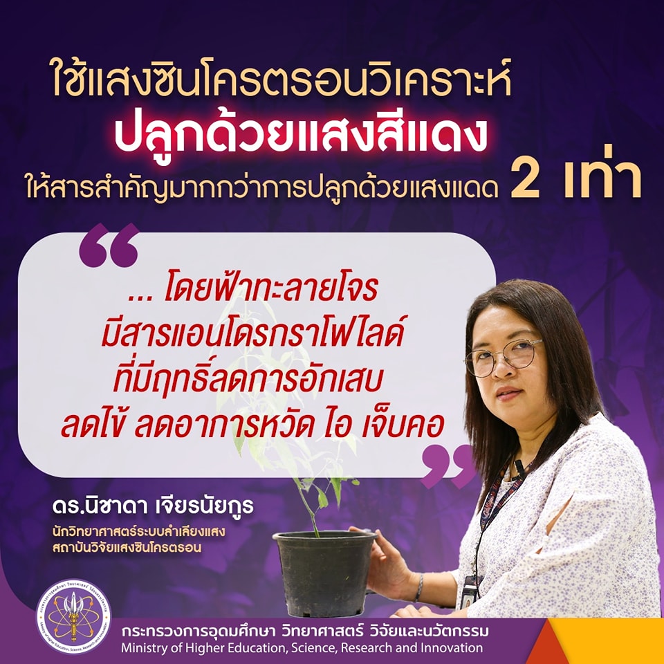 336175076 170965085799174 4848518943245772888 n