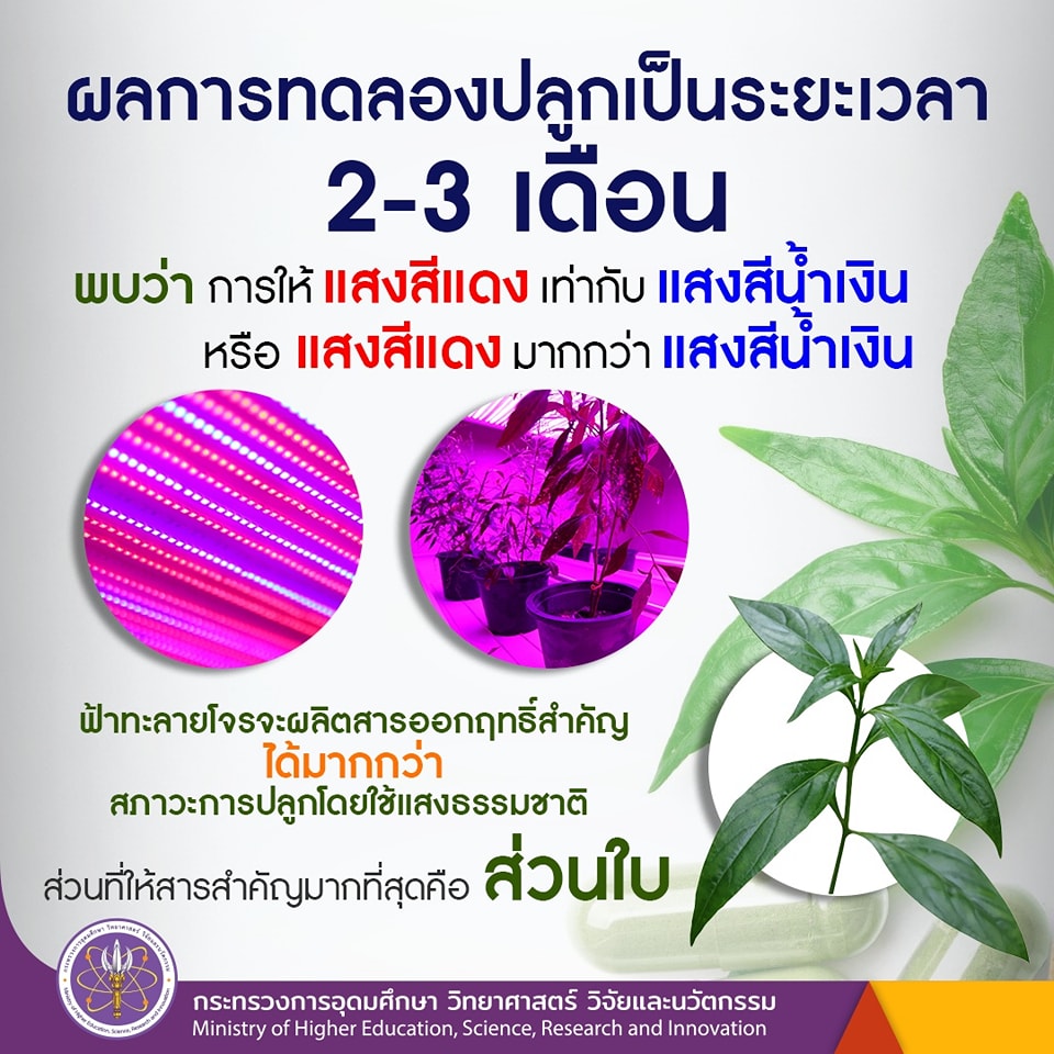 336278715 904940127388507 1261853498770507876 n