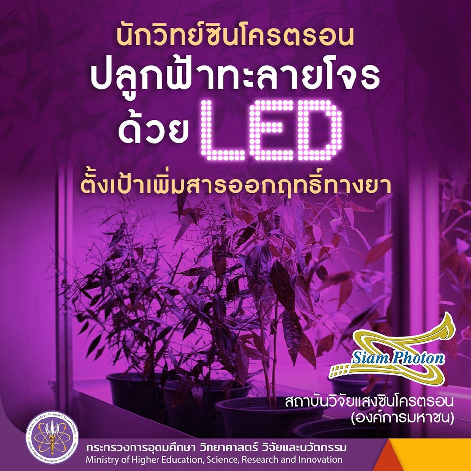 336380608 784609183087986 6934151419326859574 n