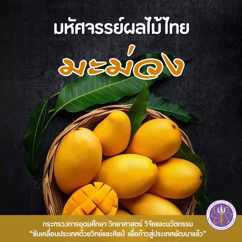 314418848 521865463316445 7003542670585407546 n