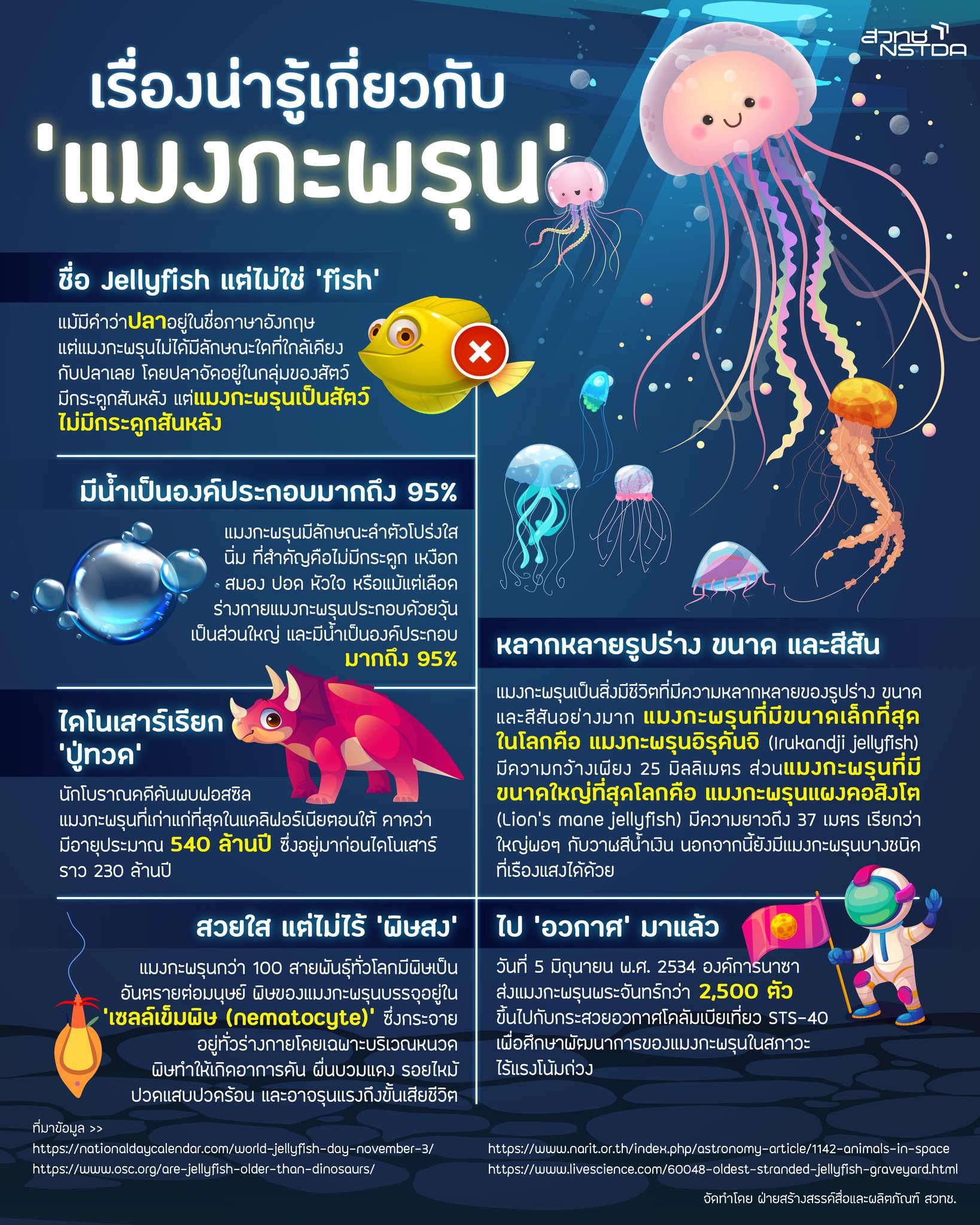 313887884 495474415955267 5731303116632986931 n