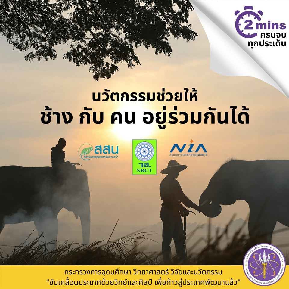 316945413 538170755019249 9065593271311335929 n