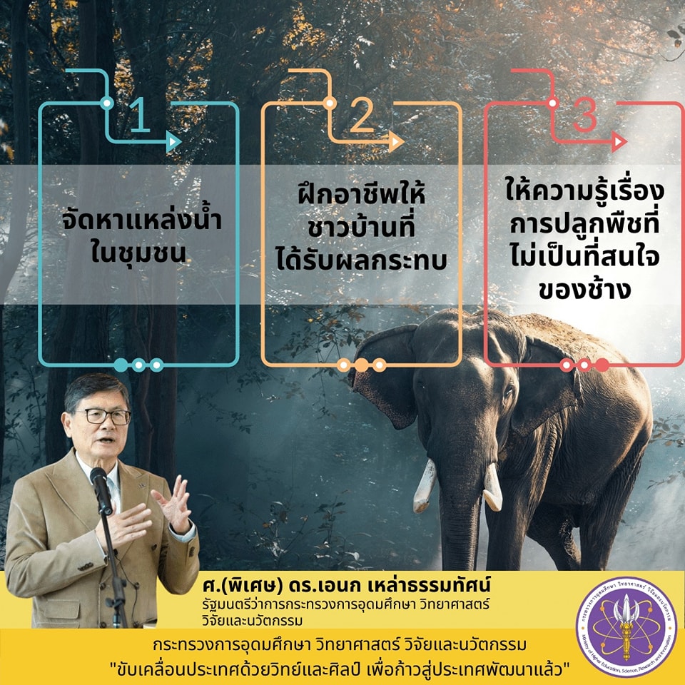 316951988 538170878352570 8289347807763015949 n