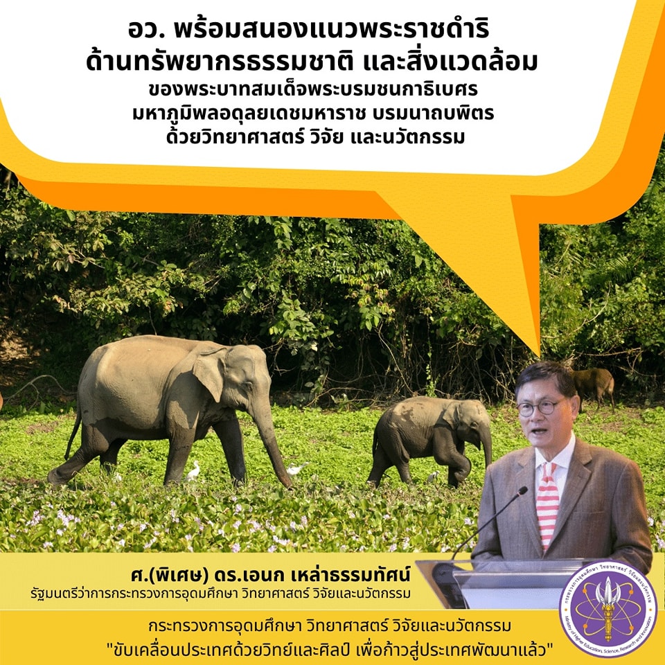 317067858 538170811685910 8378126497889870391 n