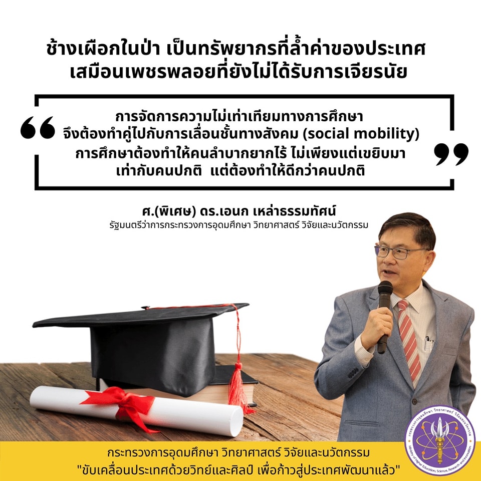 310195017 494648816038110 6110910963183442315 n