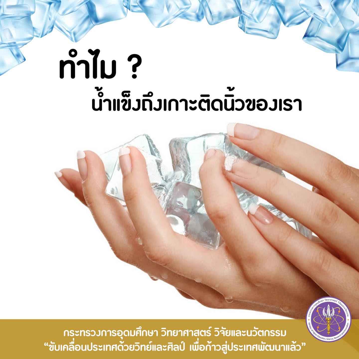 312008892 508605517975773 4949041822207657438 n