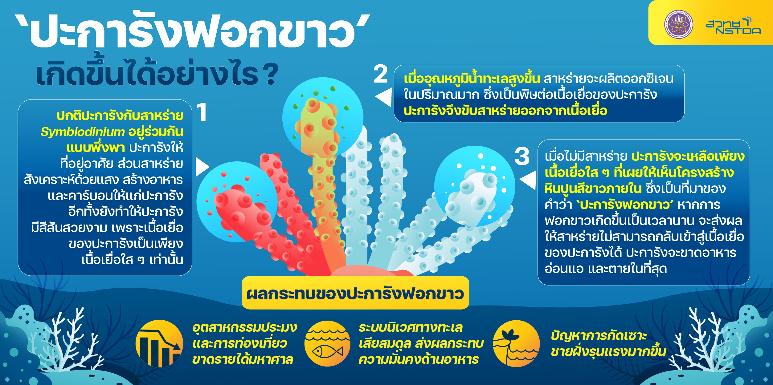 439831229 845039484332090 7083958601771872434 n