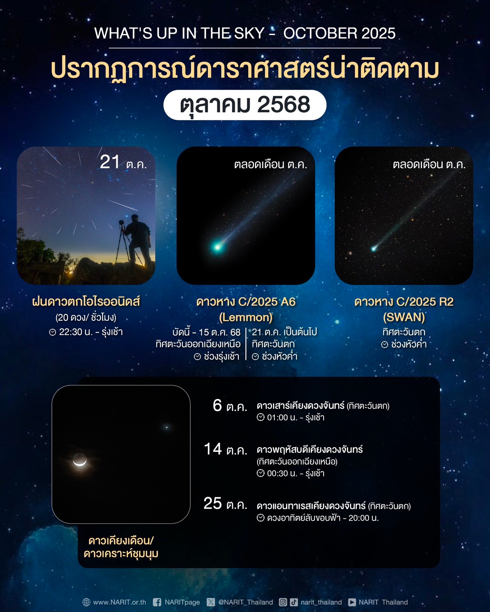 558587962 1210812591089281 7859100923670523983 n