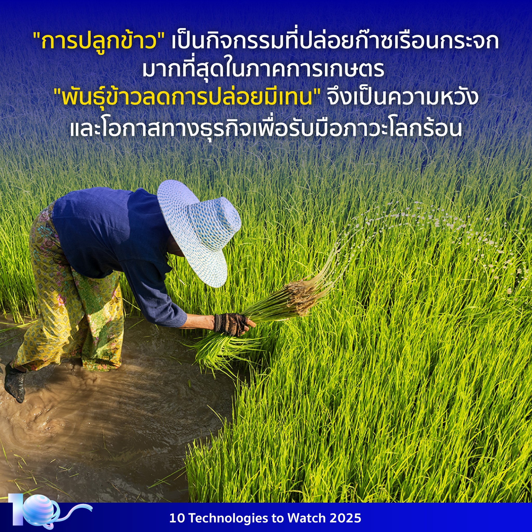 533787461 1198995525603149 6115618781754459725 n