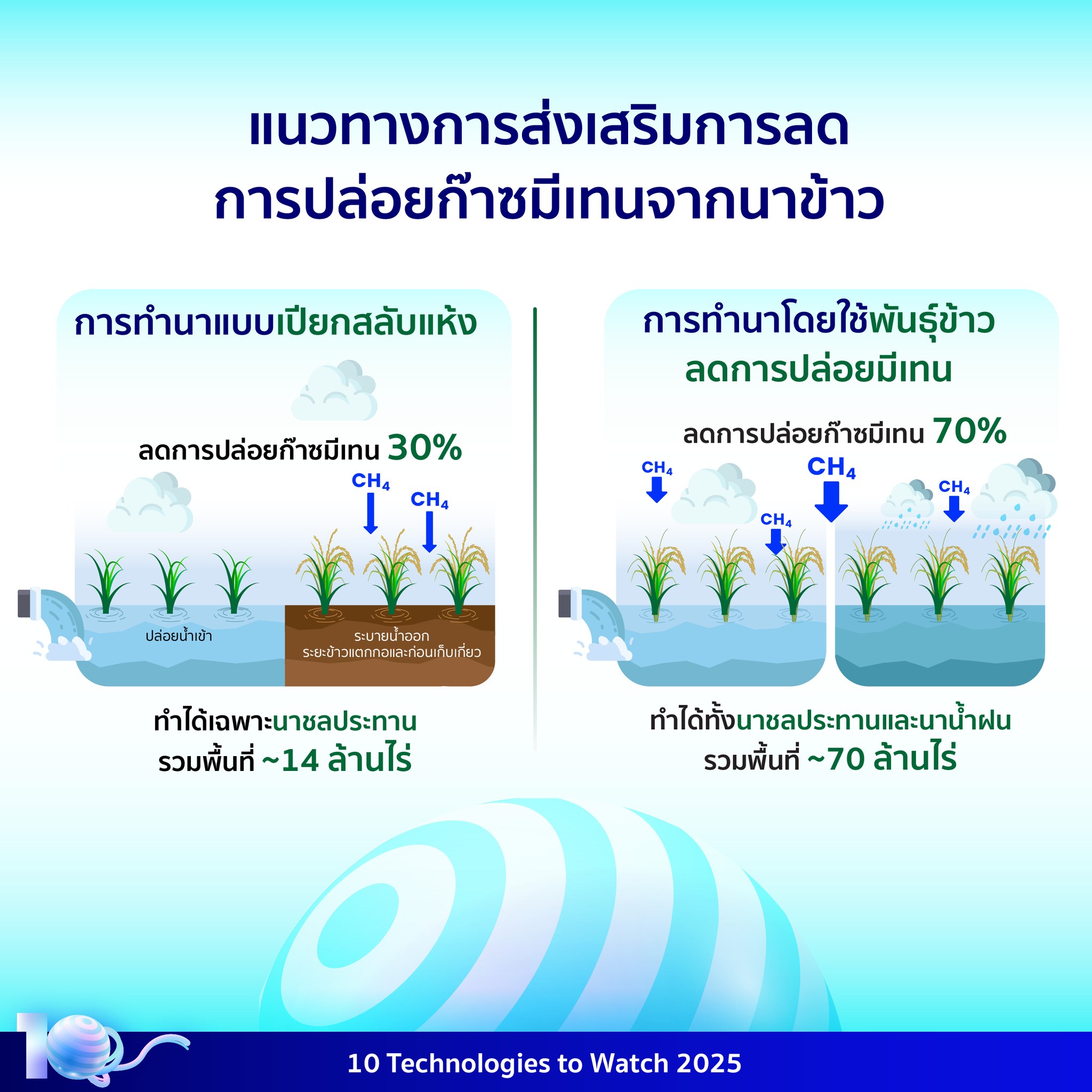 535004639 1198995565603145 7340372546063803443 n