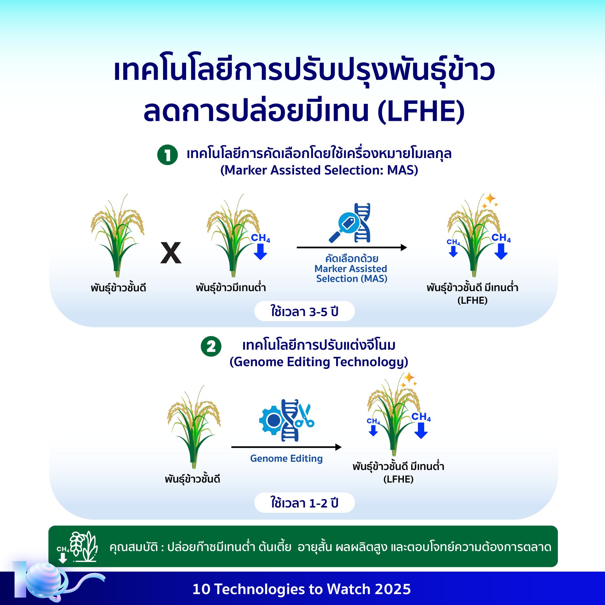 535134319 1198995665603135 6920385896876558173 n