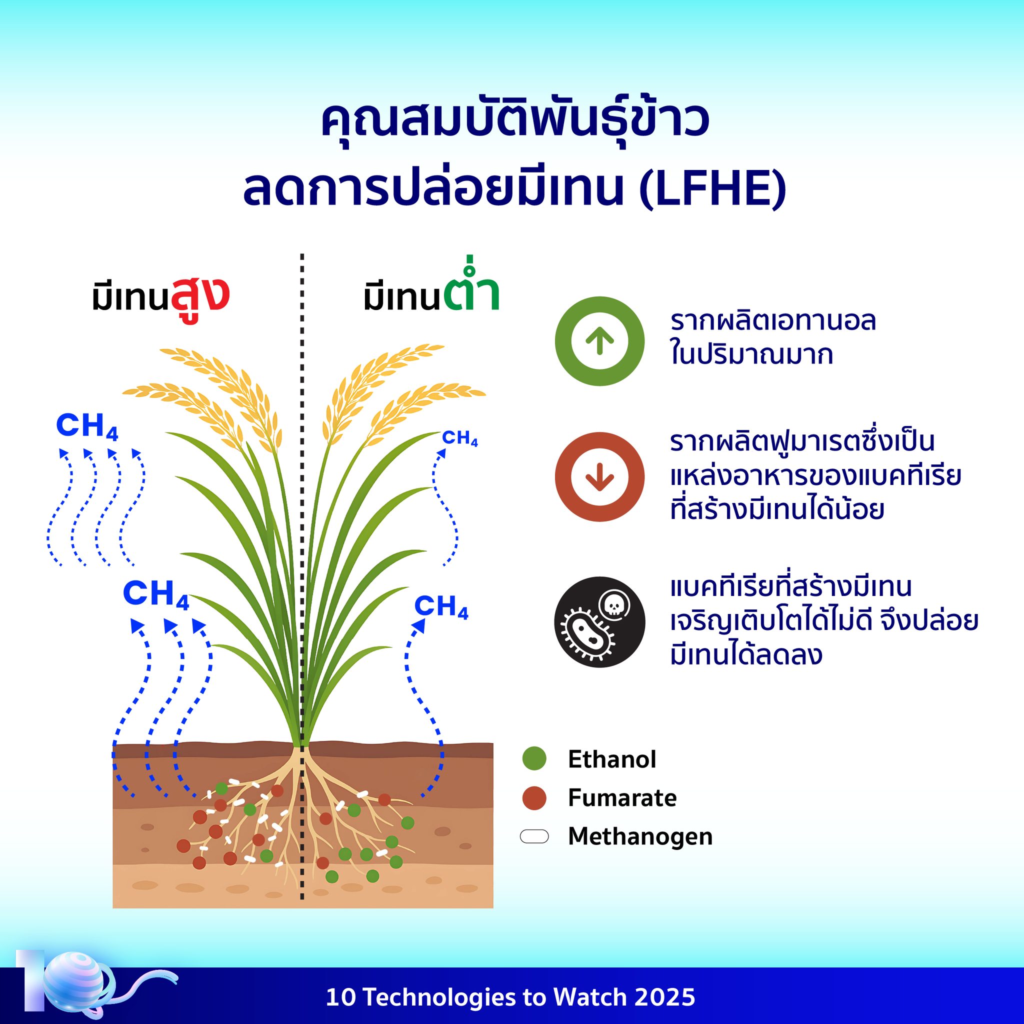 535727580 1198995608936474 7469966369986055473 n