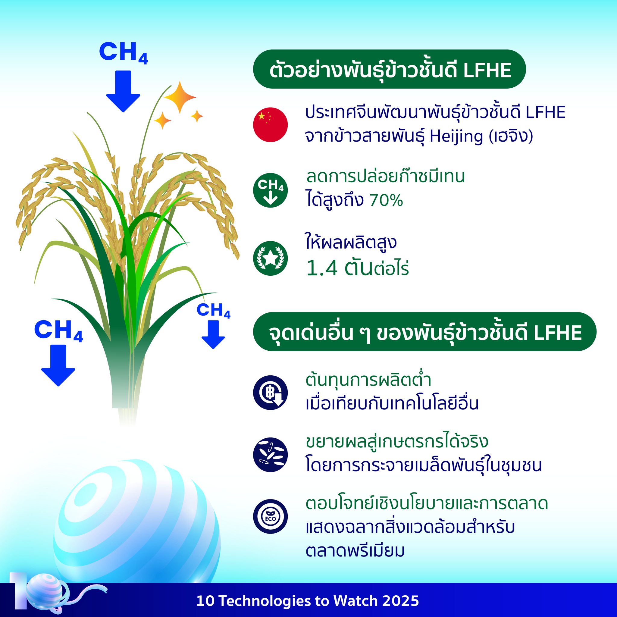 535807275 1198995718936463 7886754198315155705 n